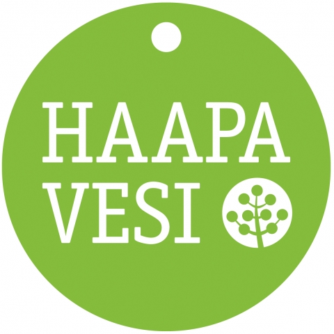 Haapavesi bannerikuva